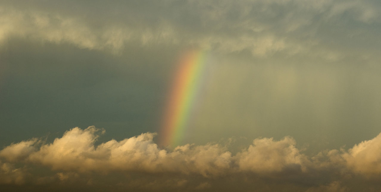 SCENIC VIEW OF RAINBOW IN SKY