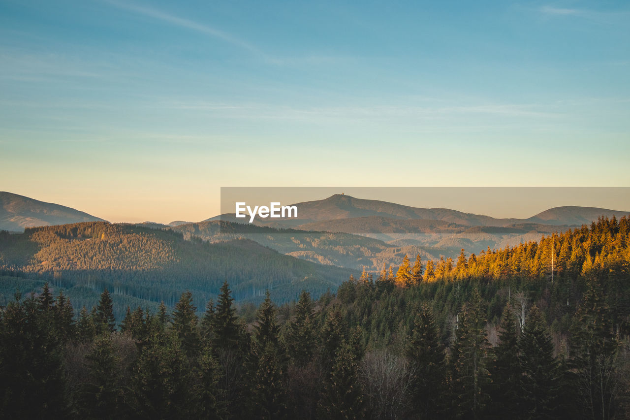 View of the spruce forests of the beskydy mountains in the east of the czech republic