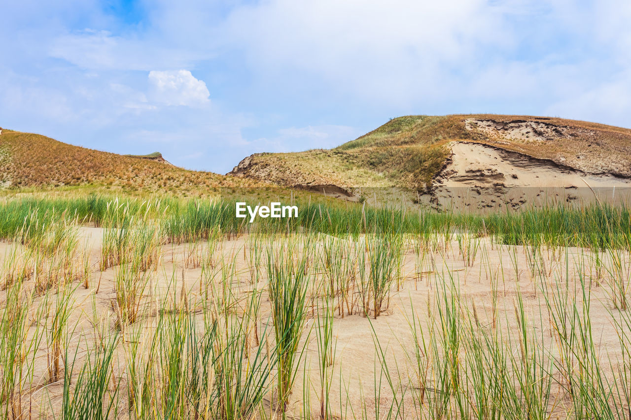 Scenic view of land against sky