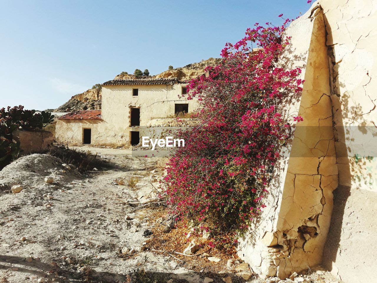 A bougainvillea gives life to the abandoned houses of a forgotten village