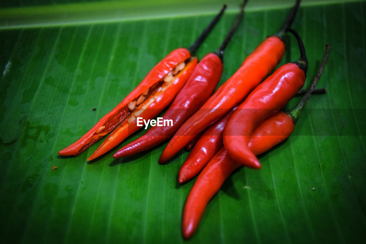 Close-up of red chili peppers on leaf