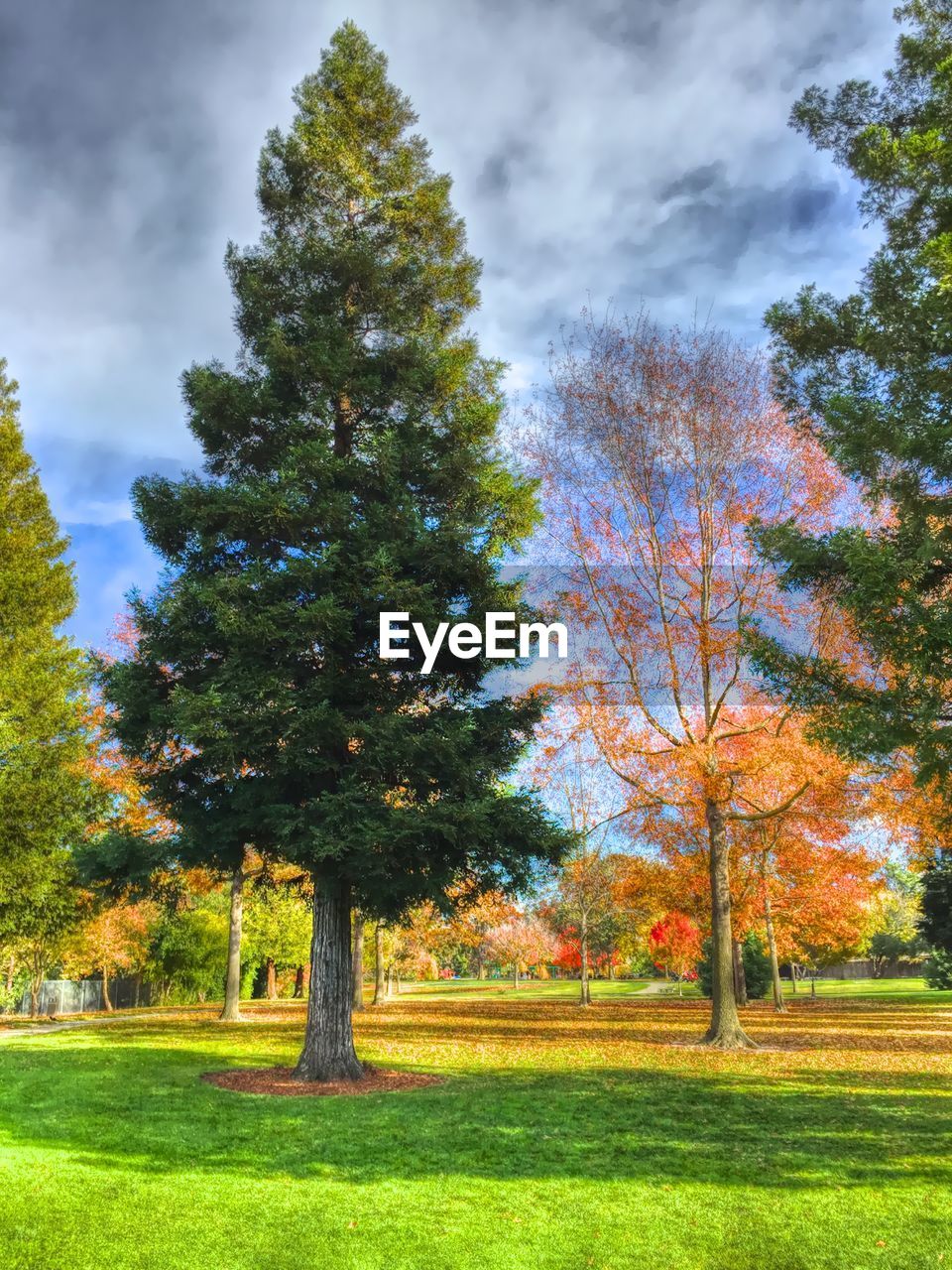 SCENIC VIEW OF GRASSY FIELD AGAINST SKY