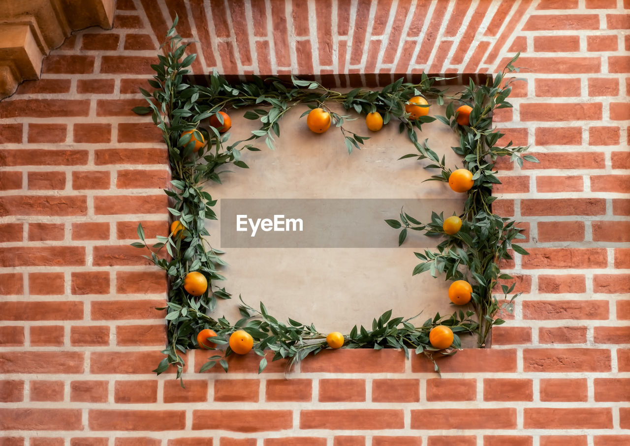 VARIOUS FRUITS ON WALL