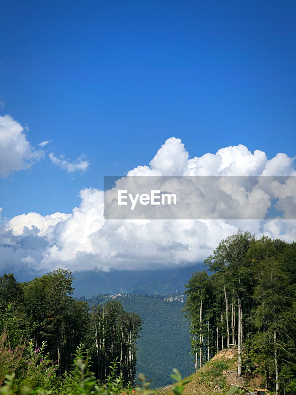 SCENIC VIEW OF LANDSCAPE AND MOUNTAINS AGAINST SKY