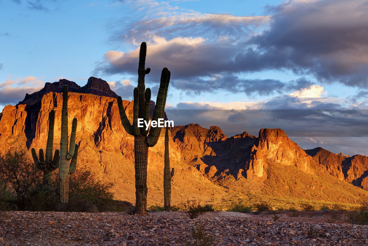 VIEW OF ROCK FORMATIONS