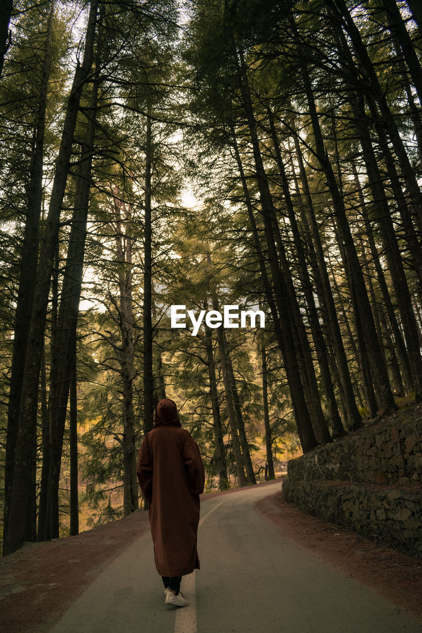 Rear view of man walking on road in forest