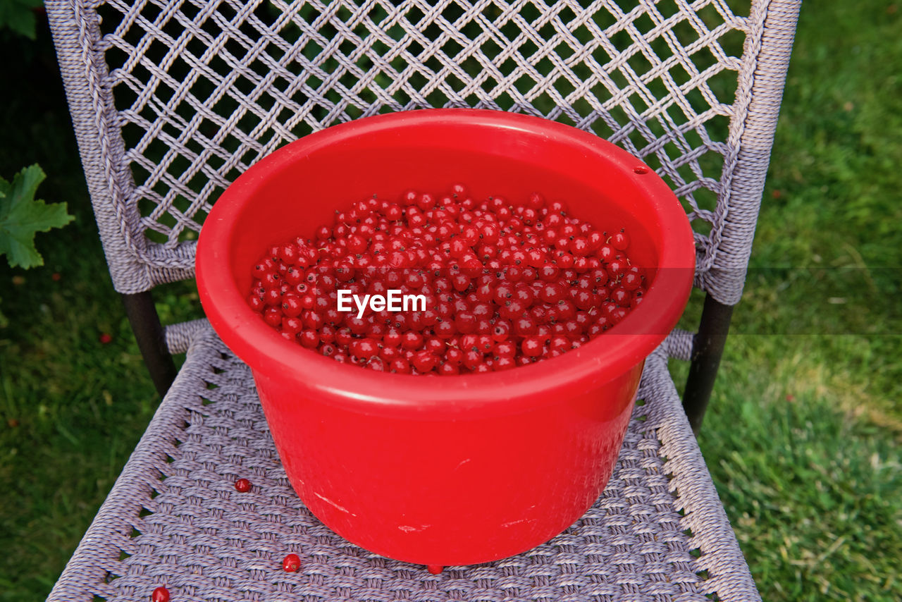 Red currants in container on chair