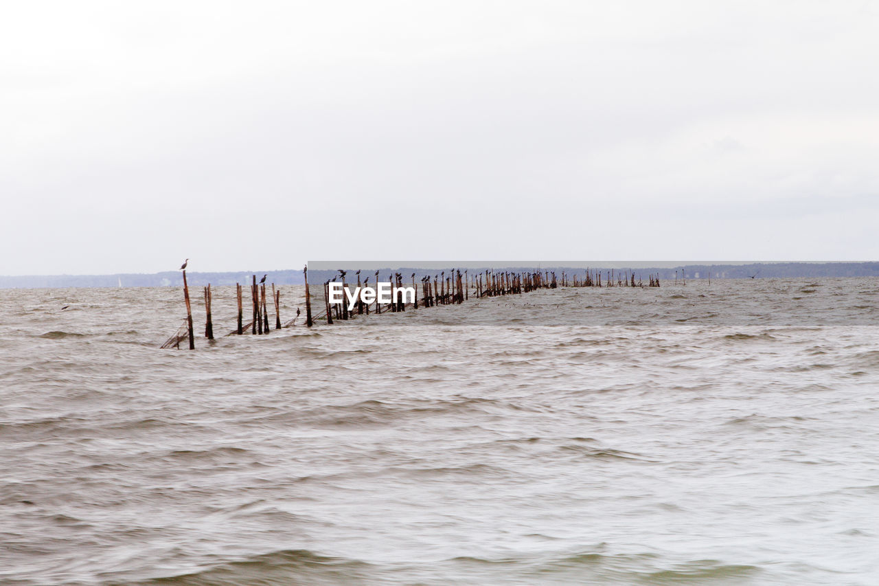 Wooden posts on beach against clear sky