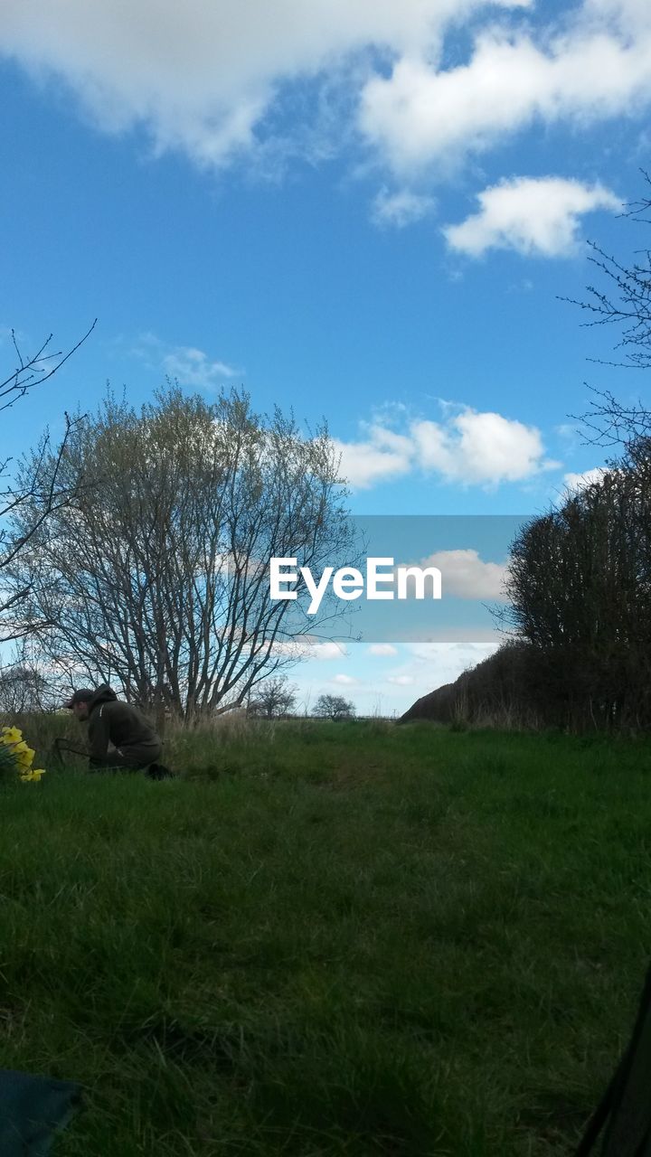 TREES ON GRASSY FIELD AGAINST CLOUDY SKY