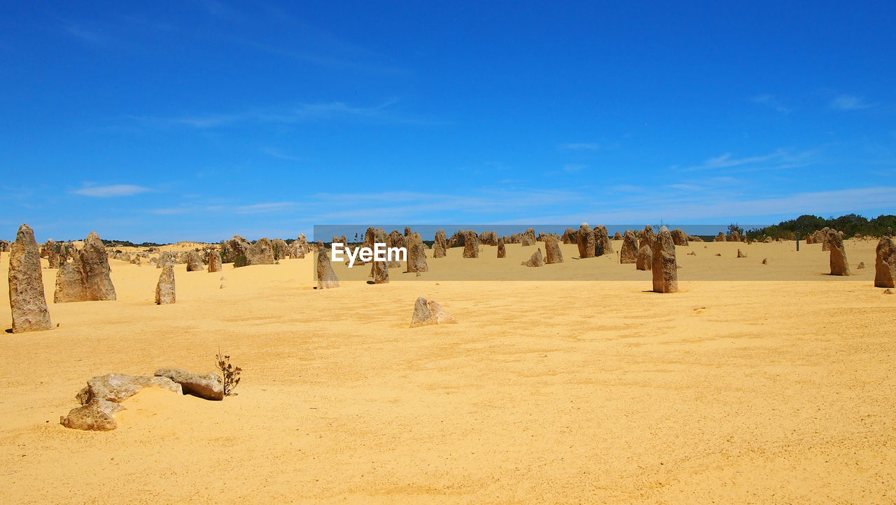 PANORAMIC VIEW OF SAND DUNE IN DESERT