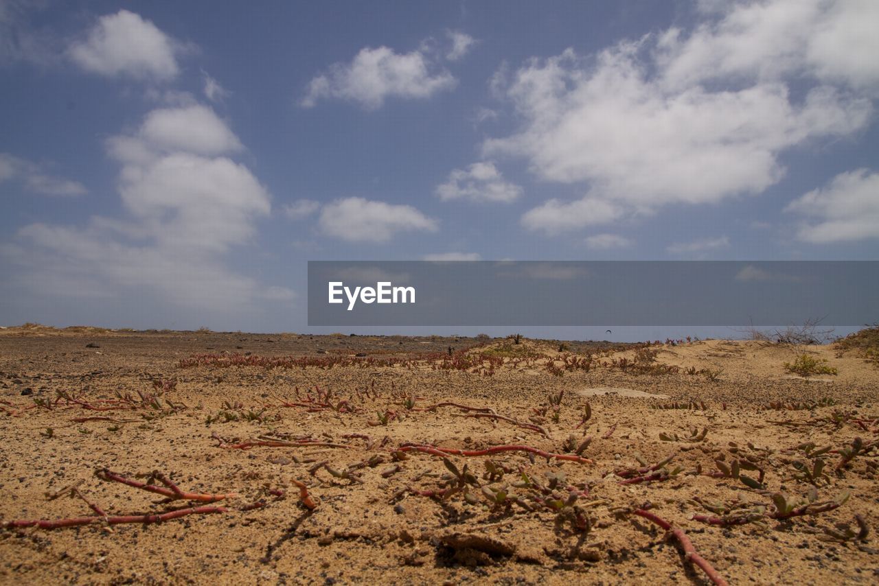 Scenic view of landscape against cloudy sky