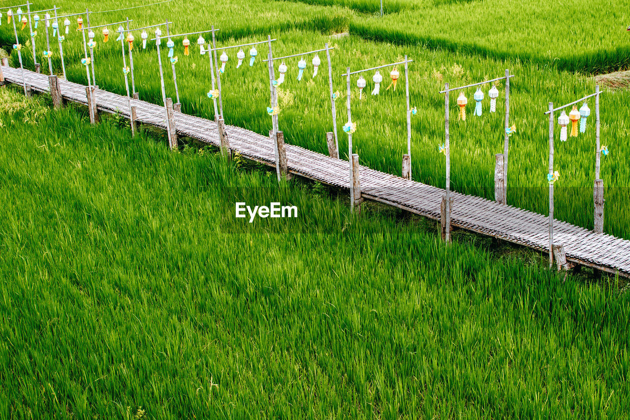 agriculture, green, plant, grass, field, land, lawn, growth, nature, pasture, landscape, fence, no people, outdoor structure, rural scene, environment, farm, day, meadow, beauty in nature, tranquility, grassland, in a row, outdoors, crop, tranquil scene, scenics - nature, soil, home fencing, high angle view, security, protection