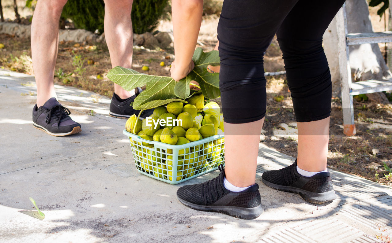 LOW SECTION OF PEOPLE STANDING BY FRUIT