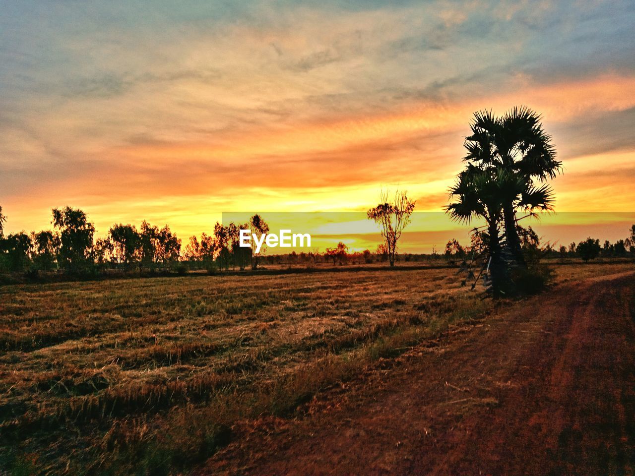 SCENIC VIEW OF SUNSET OVER LAND