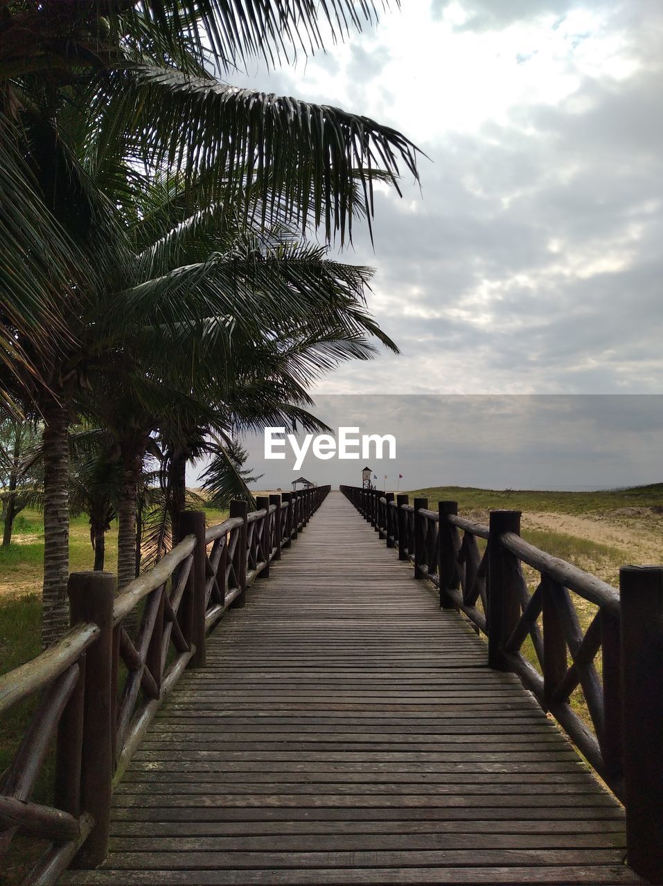 View of wooden boardwalk leading towards palm trees