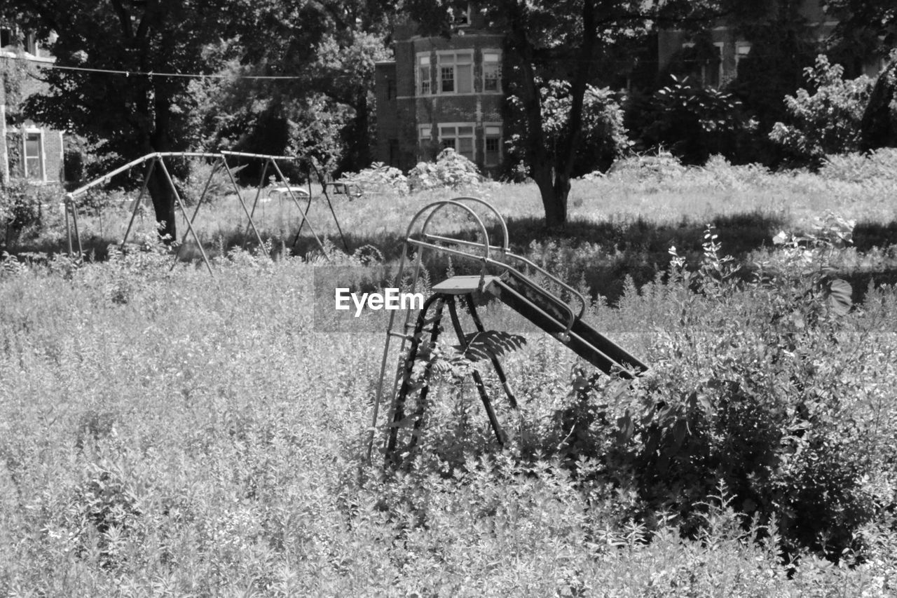 VIEW OF TREES ON GRASSY FIELD