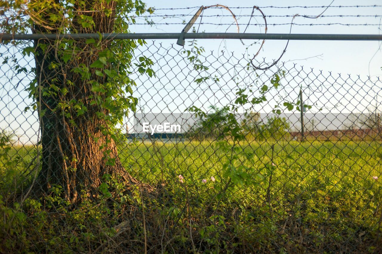 VIEW OF FIELD AGAINST SKY