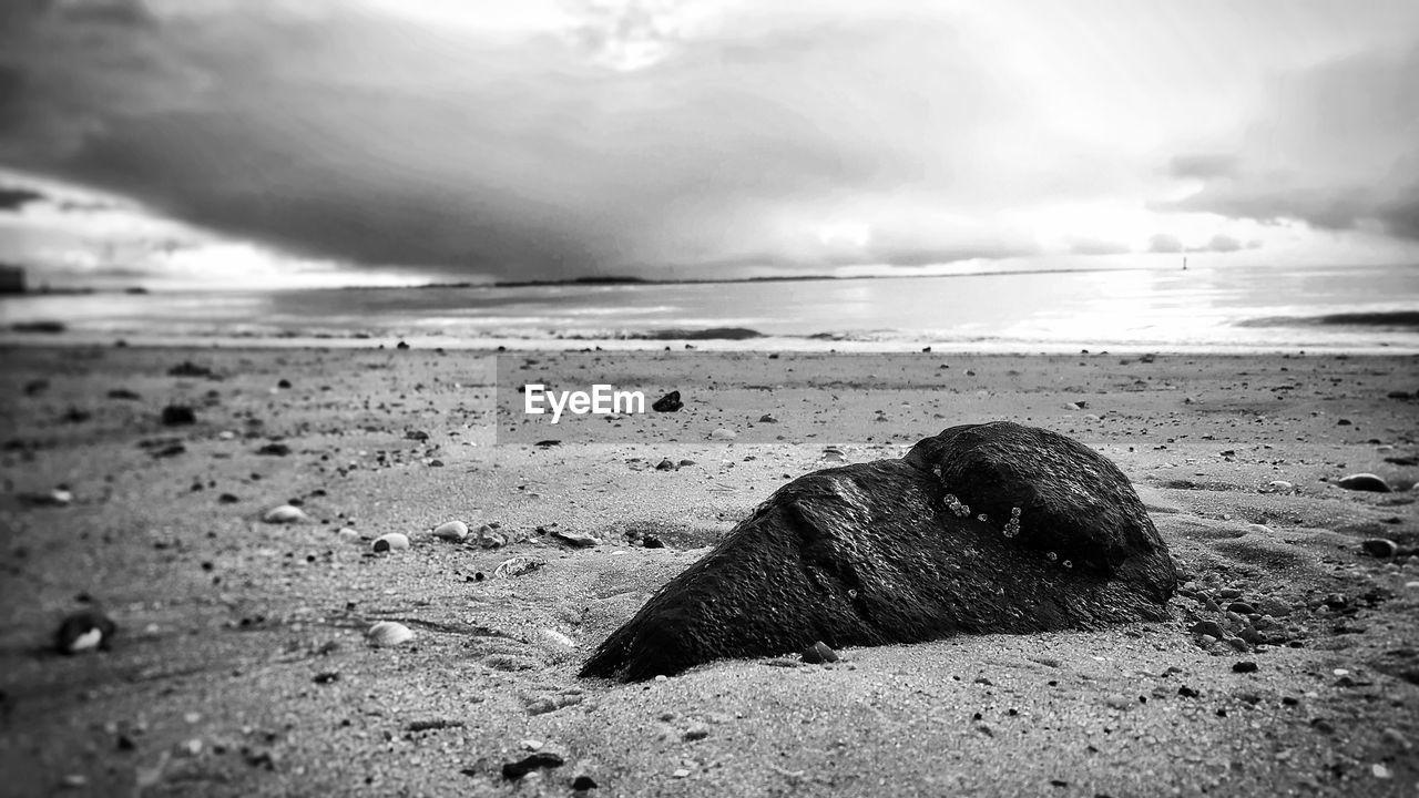 Scenic view of beach against cloudy sky