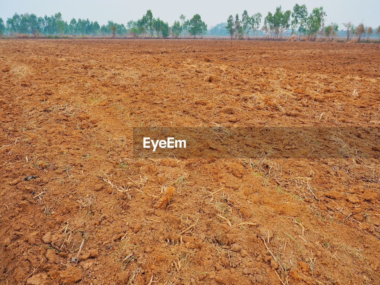 VIEW OF FIELD