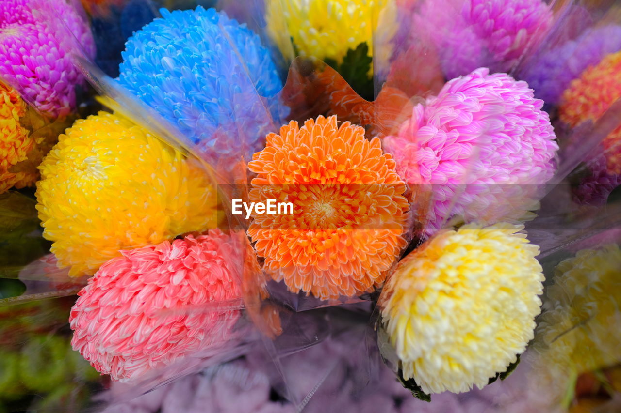 CLOSE-UP OF MULTI COLORED FLOWERS IN MARKET