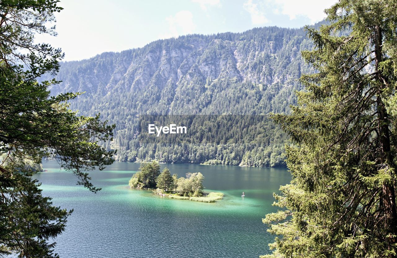 tree, plant, water, beauty in nature, scenics - nature, mountain, lake, nature, tranquility, pinaceae, tranquil scene, pine tree, coniferous tree, wilderness, land, sky, forest, body of water, no people, environment, pine woodland, day, non-urban scene, mountain range, landscape, idyllic, travel destinations, travel, outdoors, green, growth, cloud, tourism, sunlight, reflection, remote