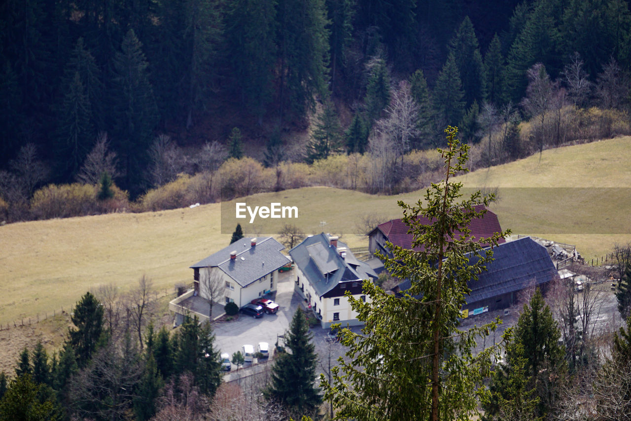 High angle view of trees and houses on field