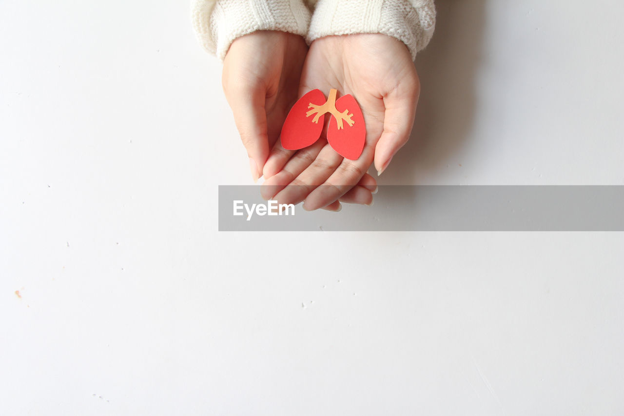 cropped hand of woman holding red toy against white background