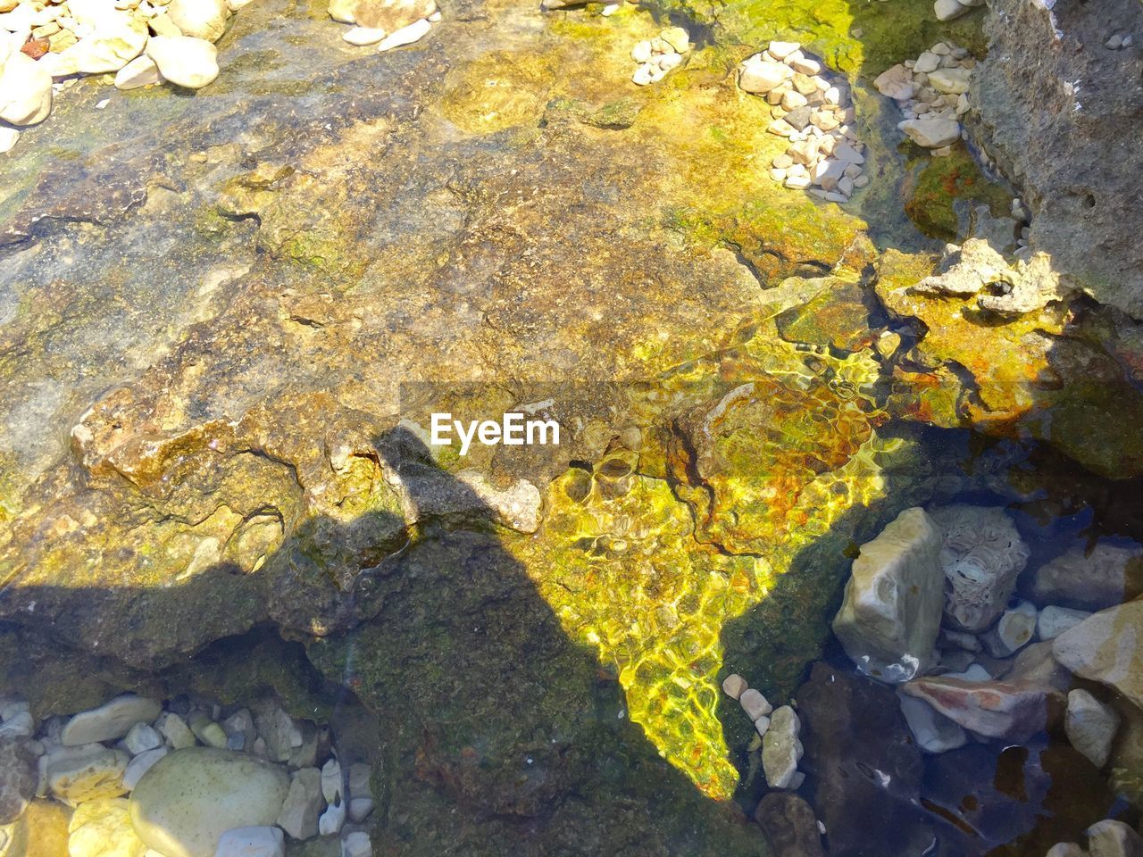 CLOSE-UP OF WATER ON ROCK