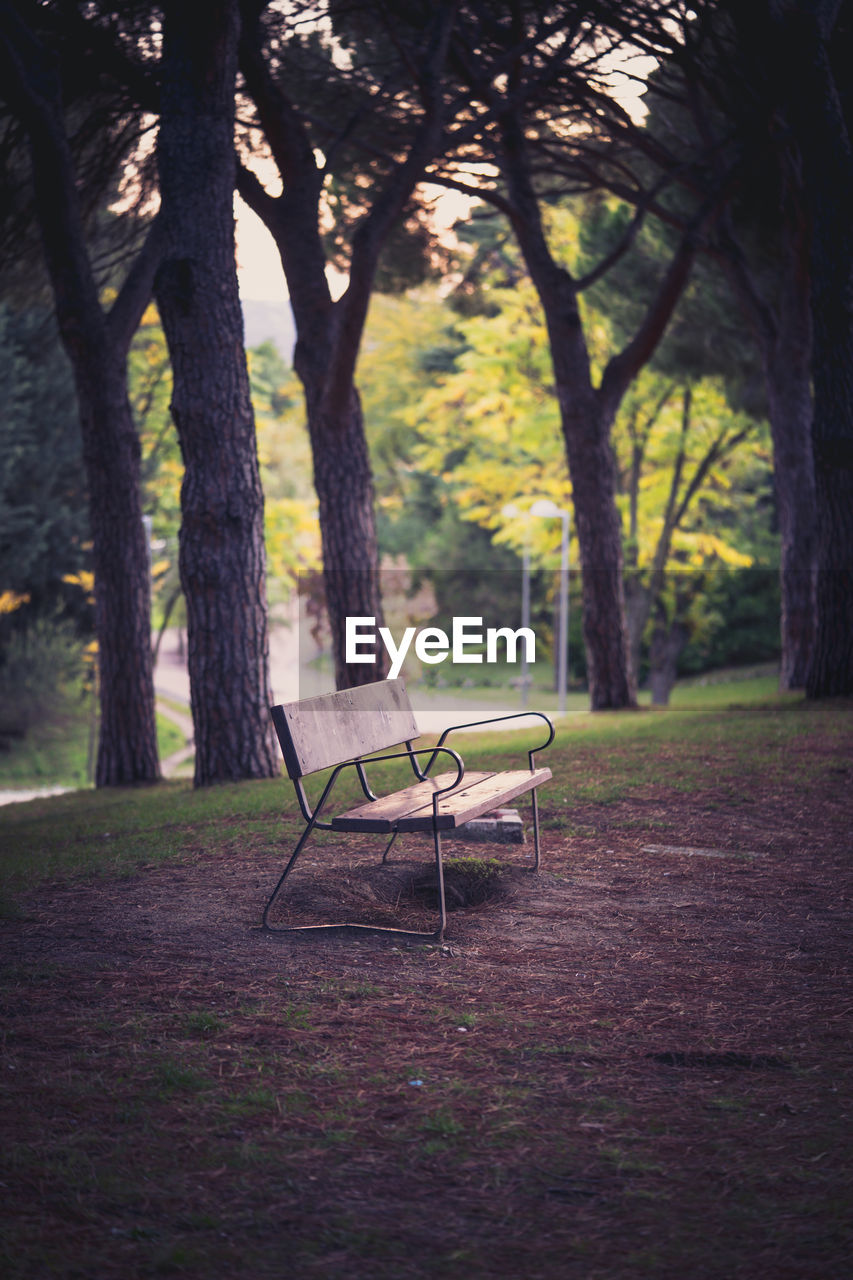 EMPTY BENCH IN PARK DURING AUTUMN