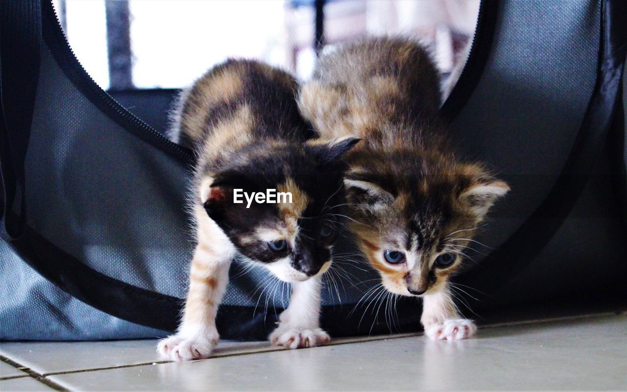 Sisters exploring together