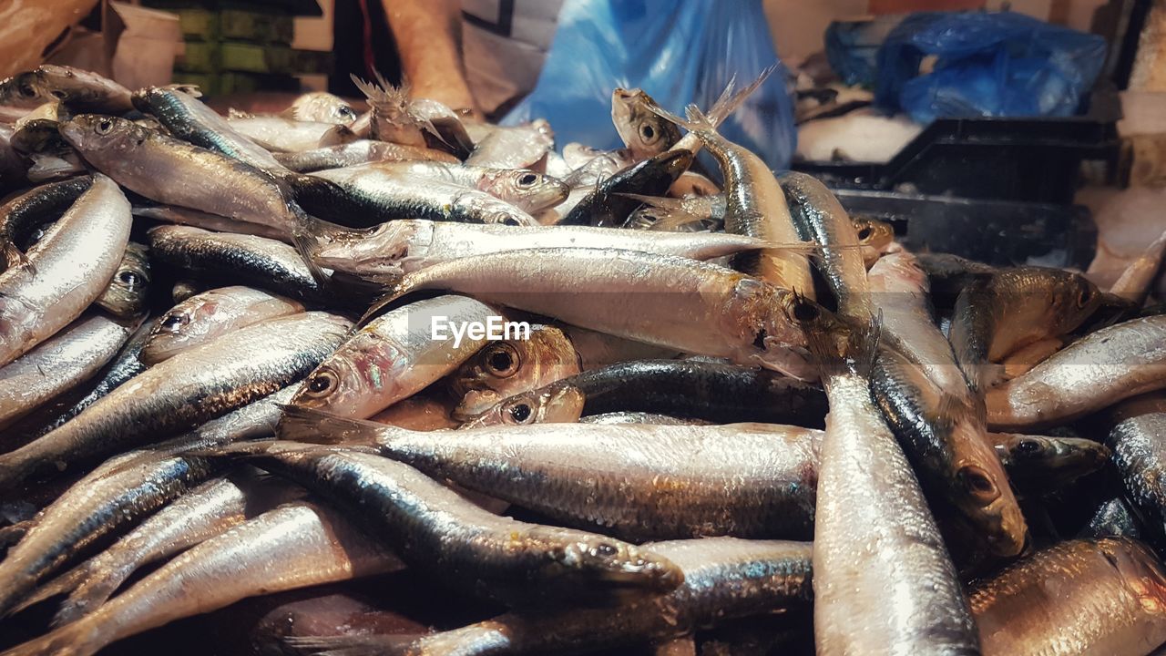 CLOSE-UP OF FISHES FOR SALE AT MARKET