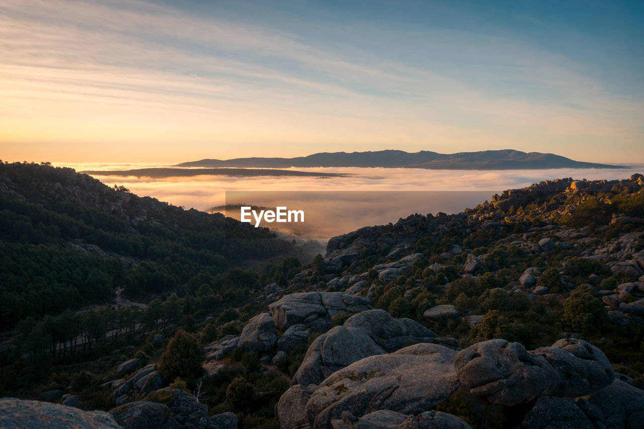 Scenic view of pedriza with mist diffusing between guadarrama mountain range and boulders with coniferous trees at sunrise in spain