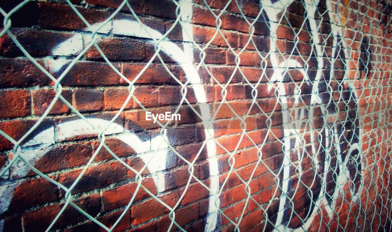 FULL FRAME SHOT OF BIRD ON WALL