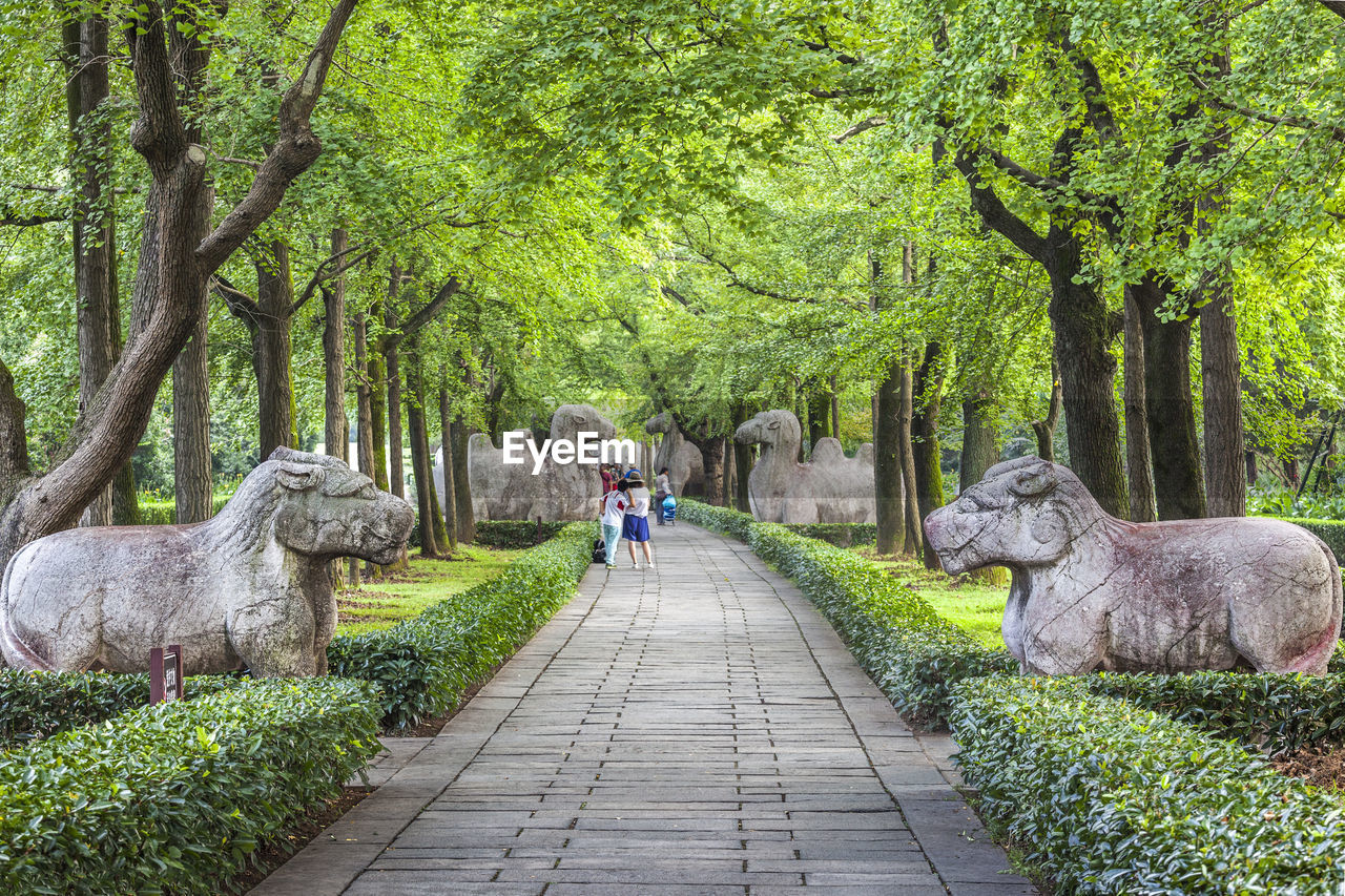 Footpath by statues at ming xiaoling mausoleum