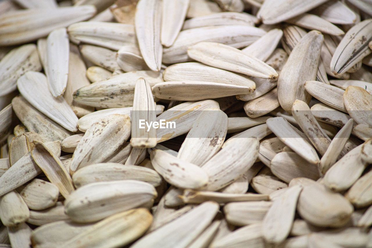 FULL FRAME SHOT OF FRESH CORN