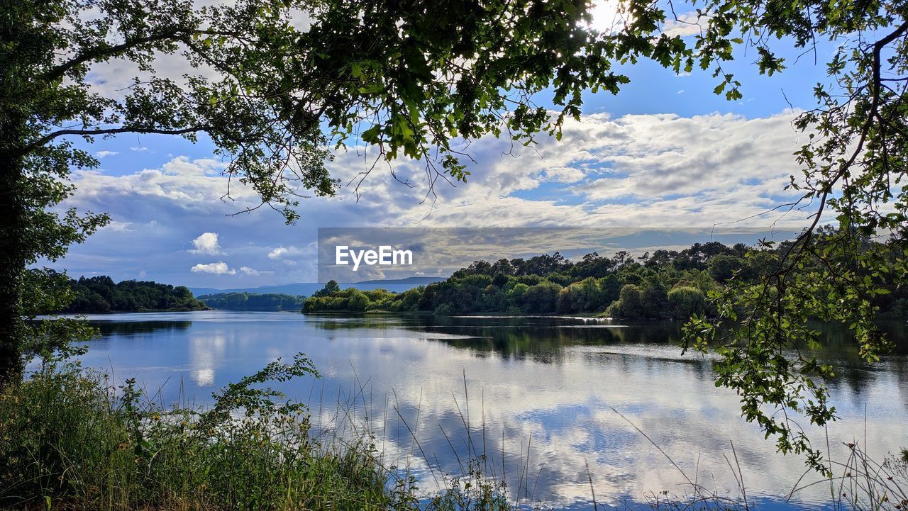 water, tree, nature, plant, reflection, lake, beauty in nature, sky, scenics - nature, tranquility, body of water, tranquil scene, cloud, landscape, environment, no people, autumn, non-urban scene, travel destinations, day, outdoors, land, travel, idyllic, forest, wilderness, tourism, leaf, blue, growth, reservoir, mountain, beach, park