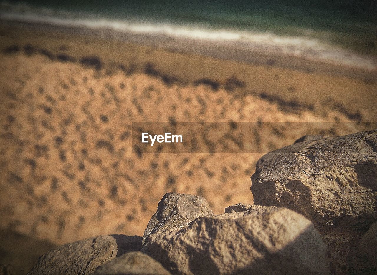 Close-up of rock on beach against sky