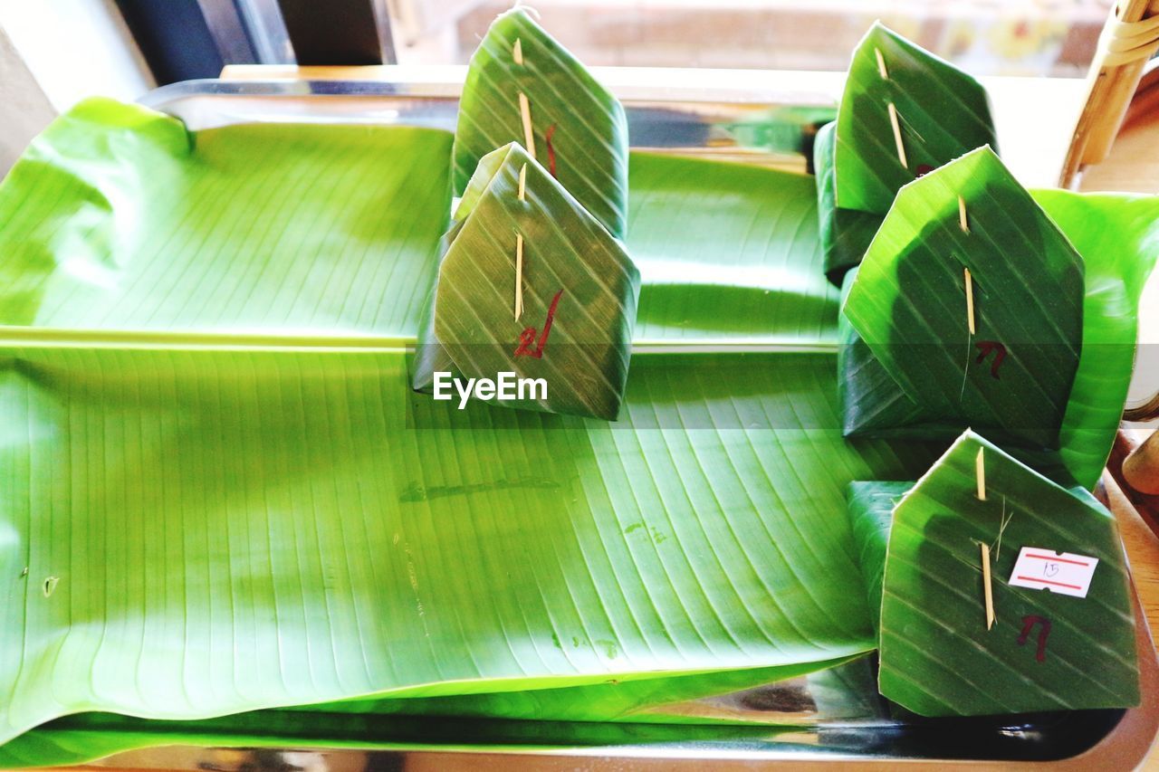 CLOSE-UP OF LEAVES ON TABLE