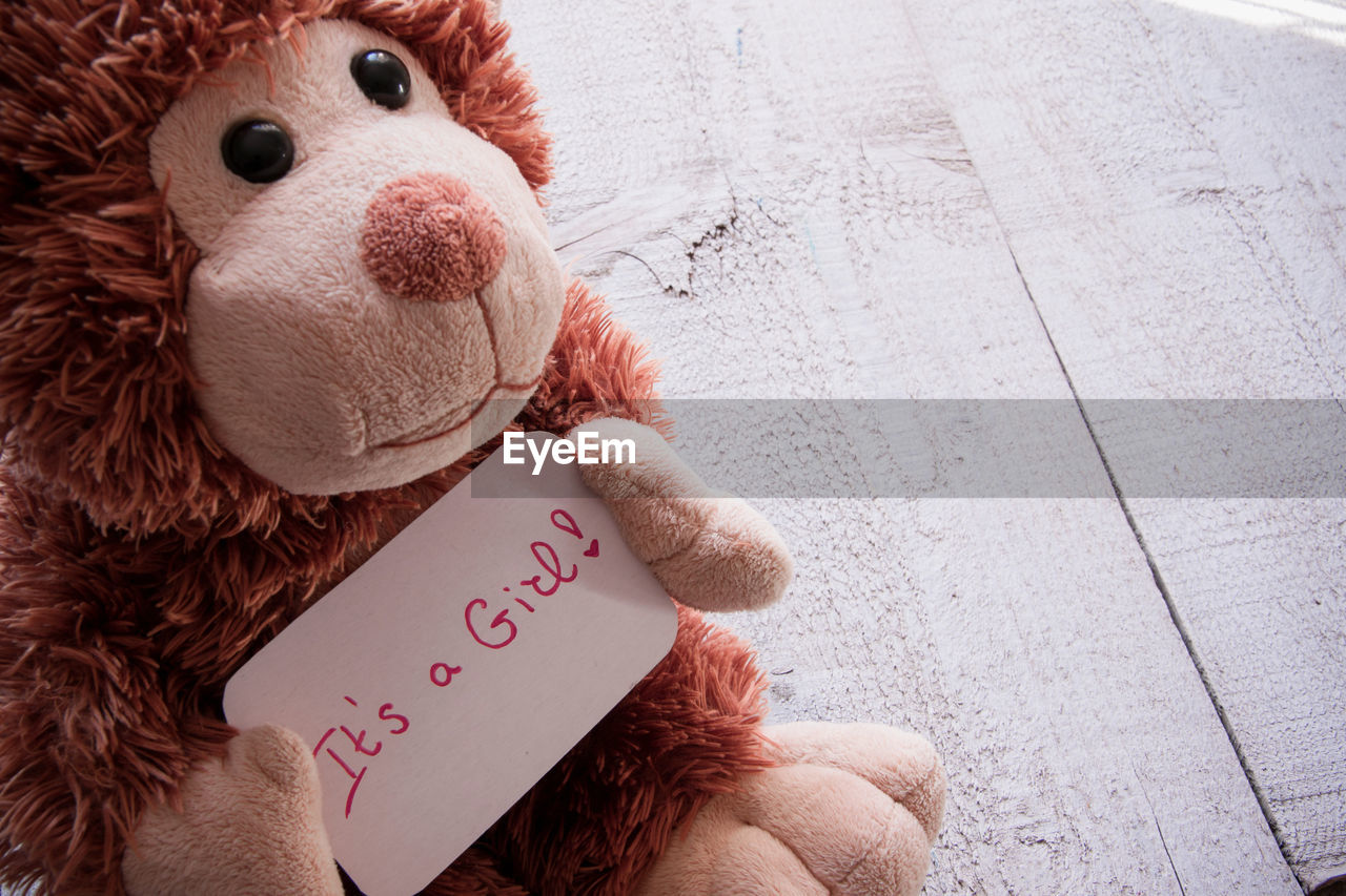 Close-up of text on teddy bear over table