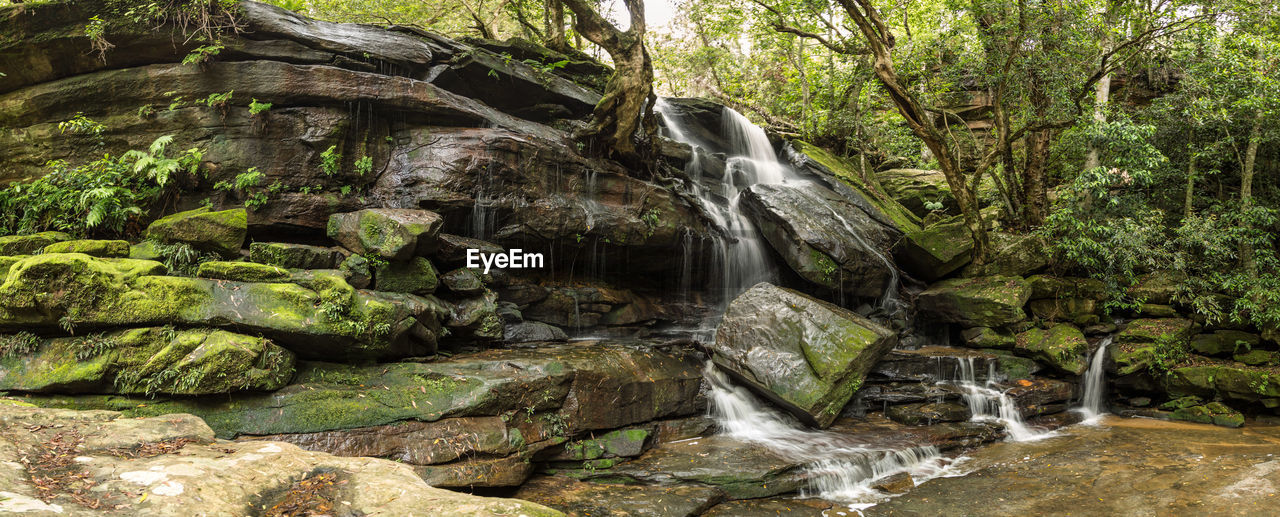 WATERFALL IN FOREST