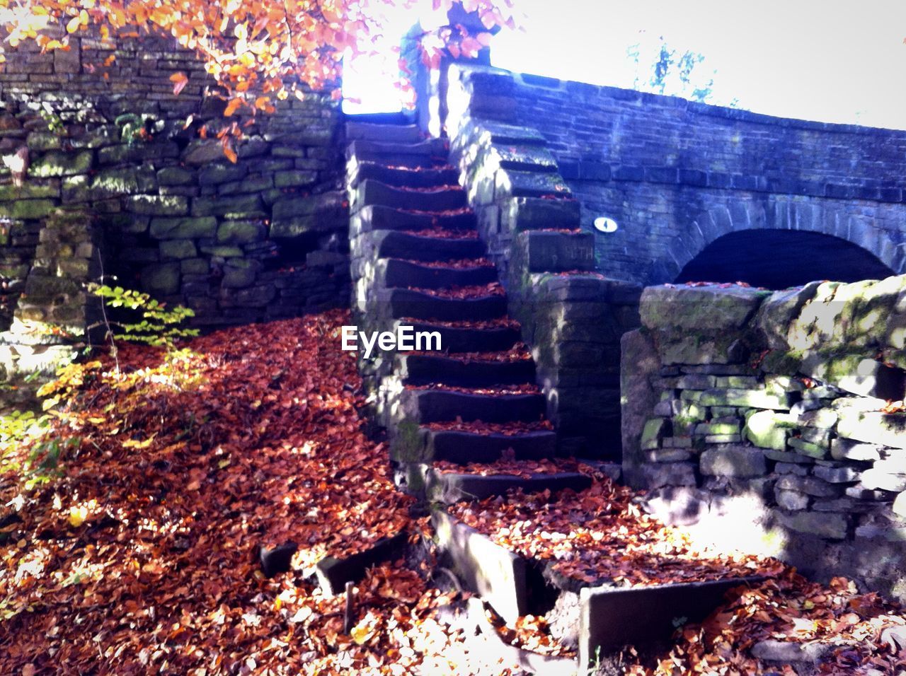 VIEW OF ROCKS IN AUTUMN