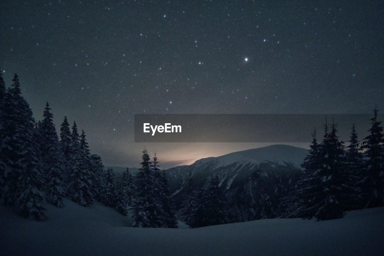 TREES ON SNOWCAPPED MOUNTAIN AGAINST SKY AT NIGHT