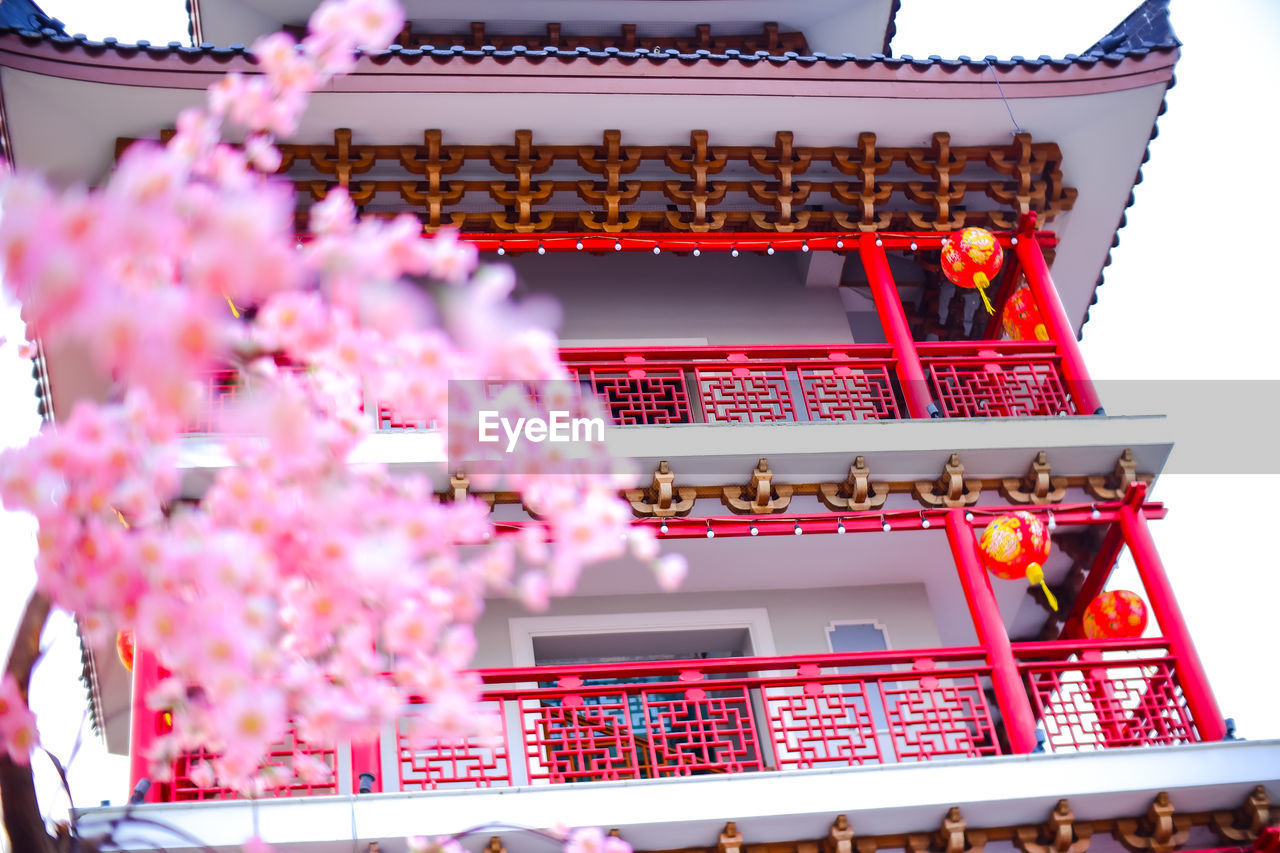 LOW ANGLE VIEW OF PINK CHERRY BLOSSOM OUTSIDE BUILDING