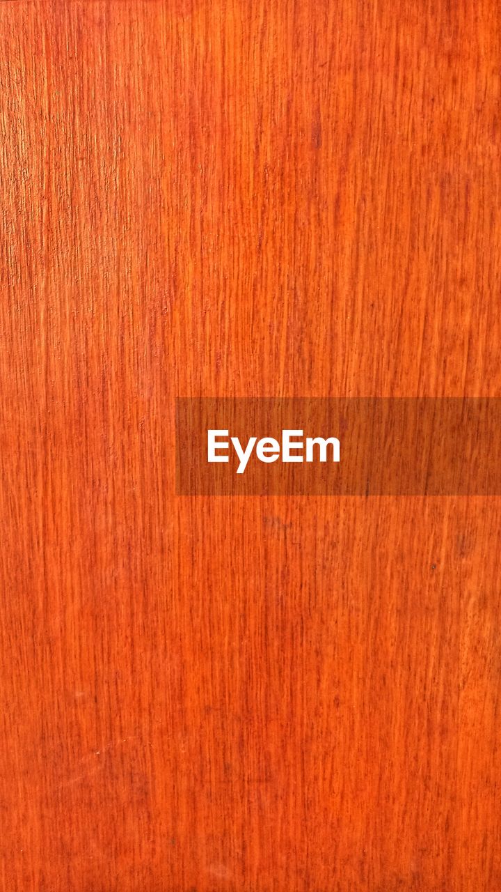 CLOSE-UP OF RED ORANGE