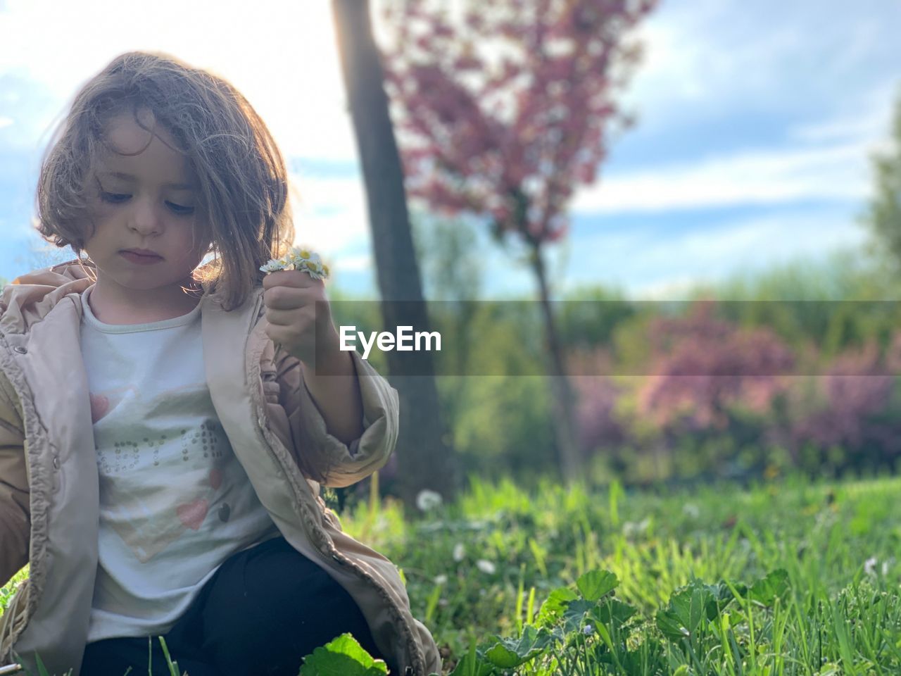 Girl collecting flowers while crouching on grass