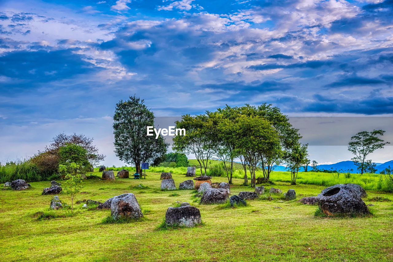 VIEW OF FARM AGAINST SKY