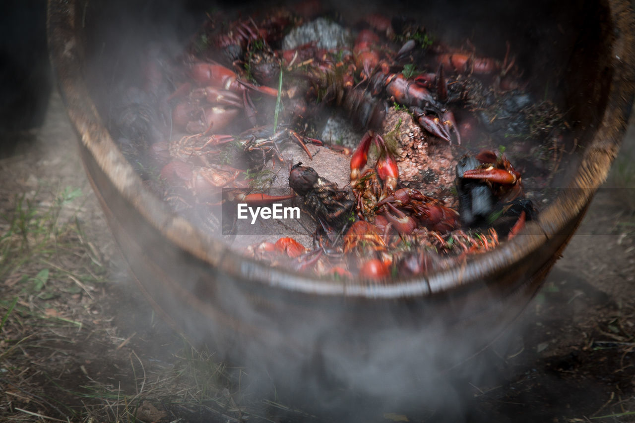 Crayfish boiling