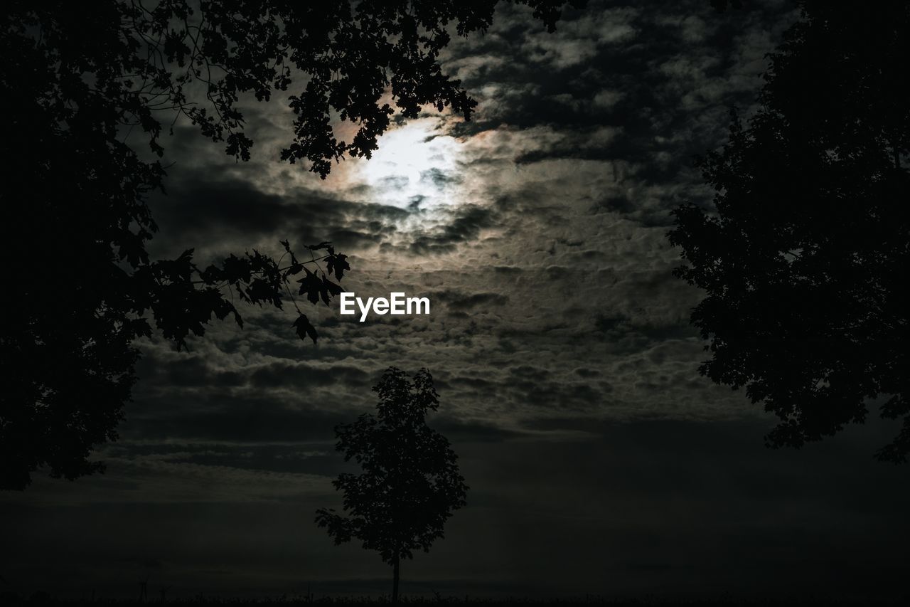 Low angle view of silhouette trees against sky at dusk