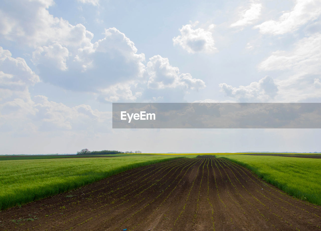 ROAD PASSING THROUGH AGRICULTURAL FIELD AGAINST SKY