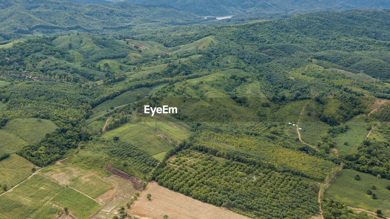 HIGH ANGLE VIEW OF AGRICULTURAL LANDSCAPE